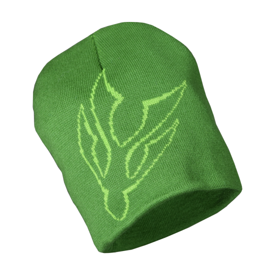Green Beanie Green Beanie
