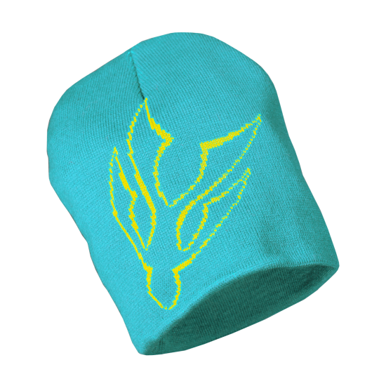 Turquoise Beanie Turquoise Beanie