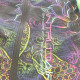 Printed Freefly CF short Size S Printed Freefly CF short Size S
