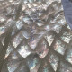 Printed Freefly CF short Size M Printed Freefly CF short Size M